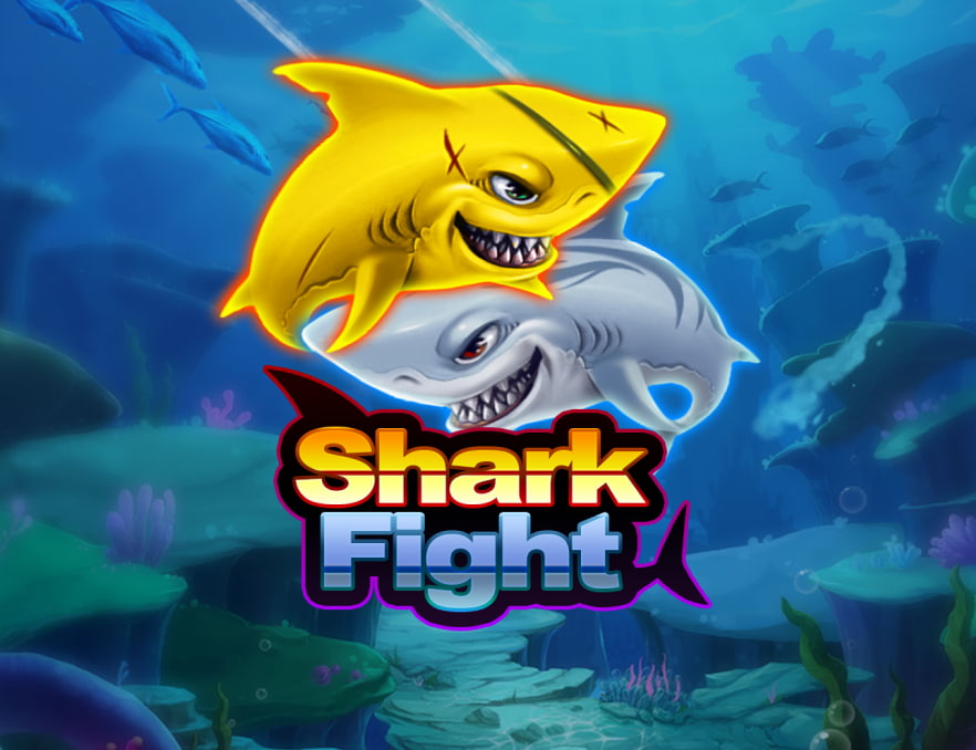 Shark Fight